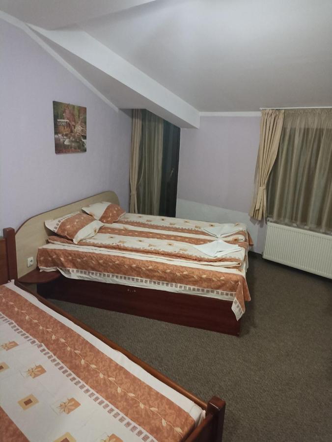 Petar Guest House Bansko Extérieur photo